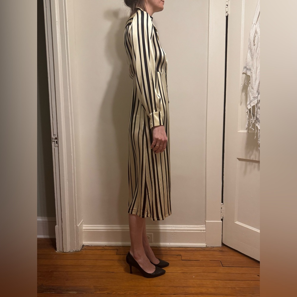 No. 6 Store Black and White Stripe Silk Shirt Dress XS S - Picture 5 of 5